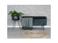 BLAIRE - Banc-Coffre Velours Vert Pieds Métal -Electroménager Soldes accessoire de rangement 12339783