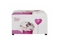Coffre De Rangement Vintage "Puppy" 65cm Blanc