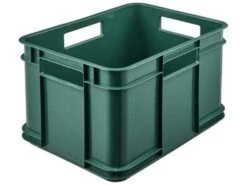 Eurobox M Rangement Box, Echo Plastic (PP), 35 X 27 X 22 Cm, 16 L, Vert