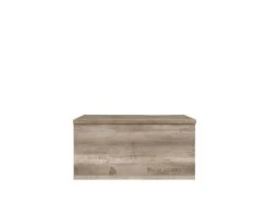 LISETTO | Coffre Malle Pour Salon Chambre Adulte Et Chambre Ado | Style Moderne | 93 X 49 X 45,5 Cm -Electroménager Soldes banc bout de lit malle et coffre 10020083