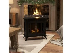 Cheminée Bioéthanol Sur Pied Style Néo-rétro Poêle 1 Brûleur 0,9 L Dim. 55L X 31l X 55H Cm Couverture 20-25 M² Acier Noir