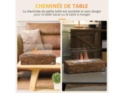 Cheminée Portable à Poser Bioéthanol Avec Réservoir 0,15 L Couverture 18 M² - Design Bûche De Bois - Dim. 33L X 16l X 18H Cm -Electroménager Soldes cheminee 22167485