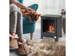 Cheminée Bioéthanol Sur Pieds Style Néo-rétro Poêle 1 Brûleur 1,5 L Dim. 40L X 30l X 50H Cm Couverture 20-25 M² Noir