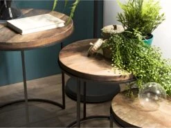 ALIDA - Set De 3 Tables D'appoint Rondes Marrons Teck Recyclé Acacia Mahogany Pieds Métal Noirs -Electroménager Soldes console 14653205