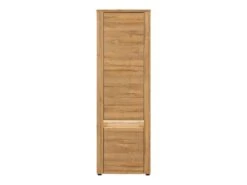 Armoire De Salon 2 Portes Battantes Chêne à LED - BIELSKO - L 63 X L 40 X H 192,2 Cm