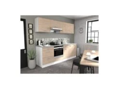 OSLO Meuble Bas 1 Porte + 1 Tiroir + Plan - Décor Chene Jackson - L 40 X P 60 X H 86 Cm -Electroménager Soldes meuble de cuisine 19915665