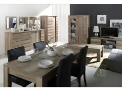 Bar, Vaisselier, Bibliothèque ROMI 2 Portes Coulissantes Coloris Dab Canyon. Meuble Design Idéal Pour Votre Salon -Electroménager Soldes meuble de cuisine 9543795