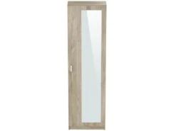 Meuble à Chaussures Avec Miroir Et 1 Porte Coloris Naturel - L. 50 X P. 23 X H. 179 Cm -Electroménager Soldes meuble de rangement 17701539