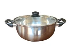 Friteuse Inox 26 Cm Avec Couvercle Verre Bouton Bakélie - Tous Feux Et Induction