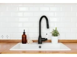 Ascott Mitigeur évier à Douchette Noir - Essebagno -Electroménager Soldes robinet 22399217